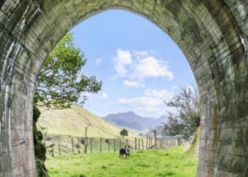 Liberty Ridge Stables