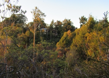 Mountain View Off-Grid Hut