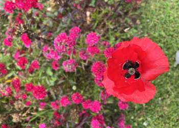 Doris's Photo