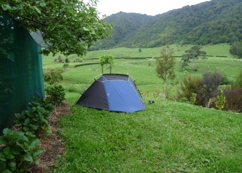 Fantail Tent Site