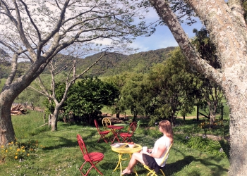 Kaimai Sunsets Retreat