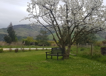 Loading Property Photo