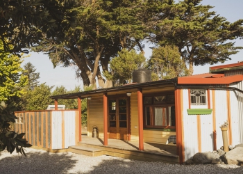 Unique Pohutukawa Escape