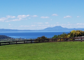 Loading Property Photo