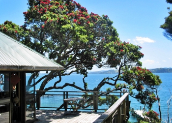 Retro Treehouse Above the Sea